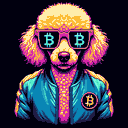 BTC Shades poodle