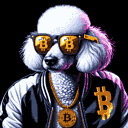 BTC Shades poodle