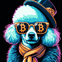 BTC Shades poodle