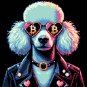 BTC Shades poodle