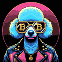 BTC Shades poodle