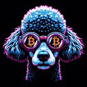 BTC Shades poodle