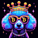 BTC Shades poodle