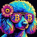 BTC Shades poodle