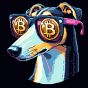 BTC Shades saluki