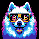 BTC Shades samoyed