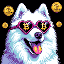 BTC Shades samoyed