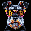 BTC Shades schnauzer