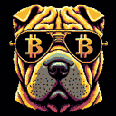 BTC Shades shar pei