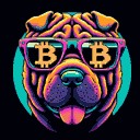 BTC Shades shar pei