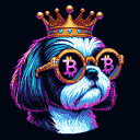 BTC Shades shih tzu