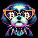 BTC Shades shih tzu