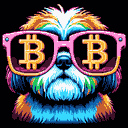 BTC Shades shih tzu