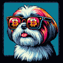 BTC Shades shih tzu