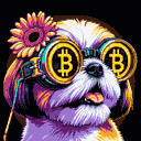 BTC Shades shih tzu