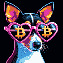 BTC Shades toy fox terrier