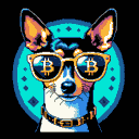 BTC Shades toy fox terrier