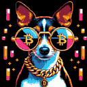 BTC Shades toy fox terrier