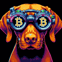 BTC Shades vizsla