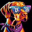 BTC Shades vizsla