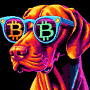 BTC Shades vizsla